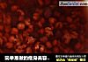简单易做的瘦身美容汤——红豆薏仁汤的做法