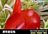 原味番茄兔的做法