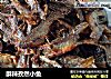 酥辣孜然小鱼的做法