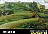 豆豉油麦菜的做法