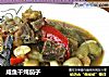 咸鱼干炖茄子的做法