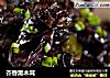 芥香黑木耳的做法