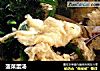 菠菜蛋汤的做法
