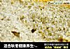 适合秋冬健康养生--黑芝麻核桃吐司（吐司之旅5）的做法