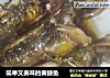 简单又美味的黄鳝鱼的做法