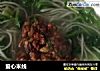 爱心米线的做法