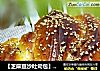 【芝麻豆沙吐司包】-------营养早餐自己做的做法