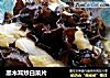 黑木耳炒白菜片的做法