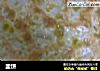韭饼的做法