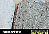 玫瑰糖养生吐司的做法