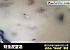 财鱼皮蛋汤的做法