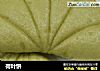 荷叶饼的做法