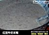 红豆牛奶米糊的做法