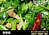 香香菜的做法