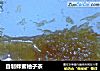 自制蜂蜜柚子茶的做法
