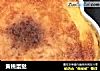 黄桃蛋挞的做法