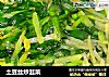 土豆丝炒韭菜的做法