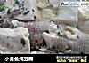 小黄鱼炖豆腐的做法