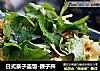 日式亲子盖饭-親子丼的做法