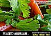 不出家门也能喝上原汁原味的泰国国汤——冬阴功汤的做法