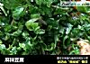 麻辣豆腐做法(69)的做法