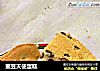蜜豆天使蛋糕的做法