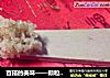 百搭的美味——颗粒核桃粉的做法