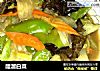 醋溜白菜的做法