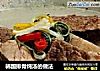 韩国排骨炖汤的做法的做法