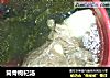 筒骨枸杞汤的做法