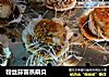 粉丝蒜蓉蒸扇贝的做法