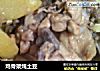 鸡骨架炖土豆的做法