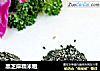 黑芝麻糯米糍的做法