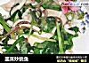 韭菜炒鱿鱼的做法