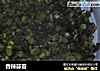 香辣蒜苔的做法