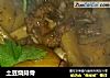 土豆烧排骨的做法