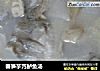 春笋芋艿鲈鱼汤的做法