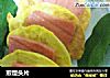 煎馒头片的做法