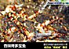 香辣烤多宝鱼的做法