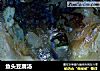 鱼头豆腐汤的做法