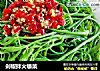 剁椒拌火镰菜的做法
