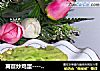 莴苣炒鸡蛋------春季快手菜的做法