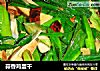 蒜香鸡蛋干的做法