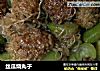 丝瓜烧丸子的做法