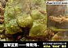 宜荤宜素——脊骨炖豆角的做法