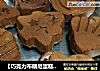 【巧克力布朗尼蛋糕】不一样的布朗尼！的做法