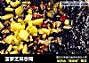 菠萝芝麻枣煳的做法