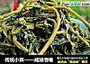 传统小菜——咸揉香椿的做法