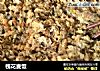 槐花麦饭的做法