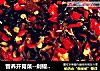 营养开胃菜--剁椒蚝油木耳的做法